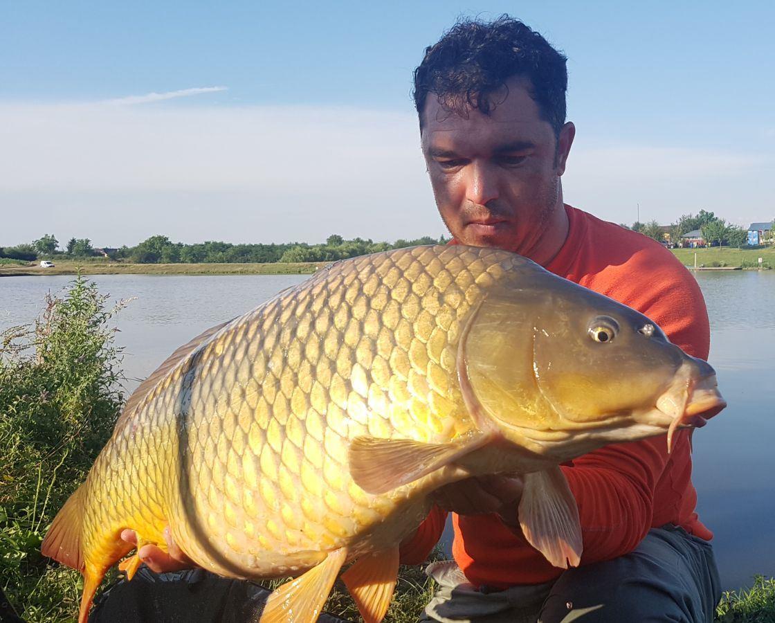 cenusaru 6 - 9 iulie 2017 - 7.jpg